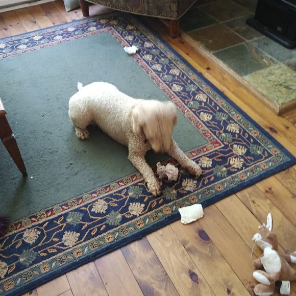 Meet your Posher, Alexandra - Picture 1 of 1